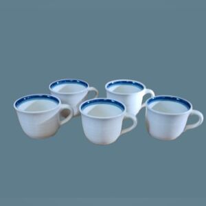 Set of 5 Vintage Northwinds Pattern Pfaltzgraff Coffee Cups